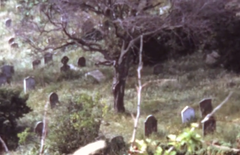 All Saints Graveyard